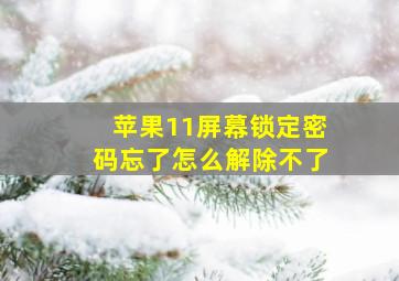 苹果11屏幕锁定密码忘了怎么解除不了