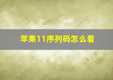 苹果11序列码怎么看