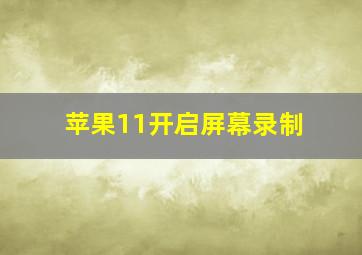 苹果11开启屏幕录制