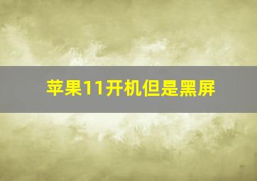 苹果11开机但是黑屏