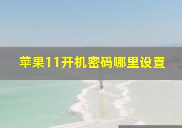 苹果11开机密码哪里设置