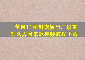 苹果11强制恢复出厂设置怎么弄回来呢视频教程下载