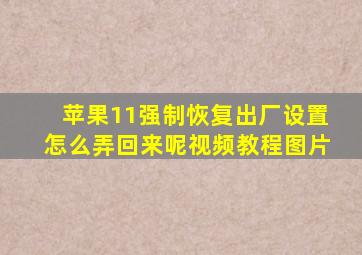 苹果11强制恢复出厂设置怎么弄回来呢视频教程图片