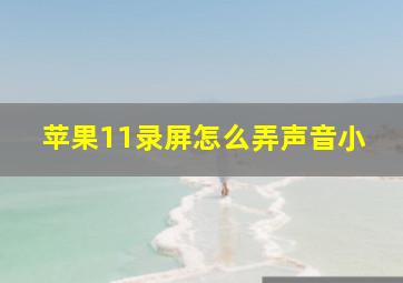 苹果11录屏怎么弄声音小