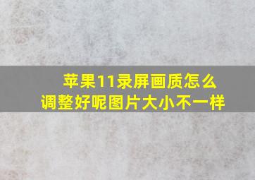 苹果11录屏画质怎么调整好呢图片大小不一样