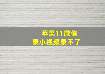 苹果11微信录小视频录不了