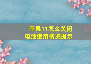 苹果11怎么关闭电池使用情况提示