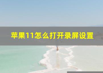 苹果11怎么打开录屏设置