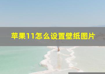 苹果11怎么设置壁纸图片