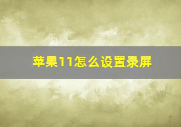 苹果11怎么设置录屏