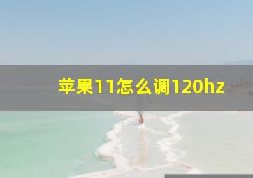 苹果11怎么调120hz