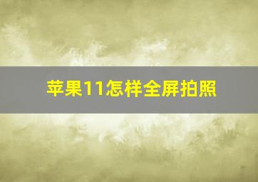 苹果11怎样全屏拍照