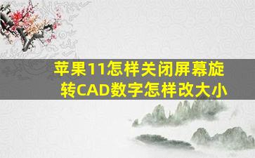 苹果11怎样关闭屏幕旋转CAD数字怎样改大小