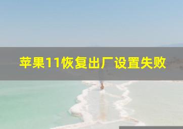 苹果11恢复出厂设置失败