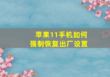 苹果11手机如何强制恢复出厂设置