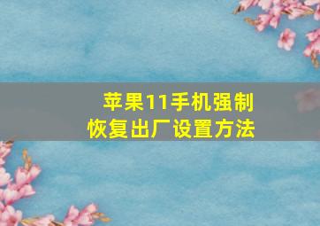 苹果11手机强制恢复出厂设置方法