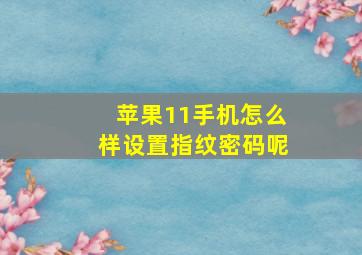 苹果11手机怎么样设置指纹密码呢