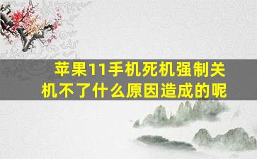 苹果11手机死机强制关机不了什么原因造成的呢