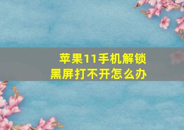 苹果11手机解锁黑屏打不开怎么办