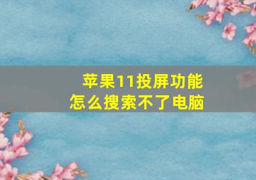 苹果11投屏功能怎么搜索不了电脑