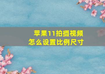 苹果11拍摄视频怎么设置比例尺寸