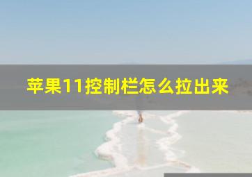 苹果11控制栏怎么拉出来