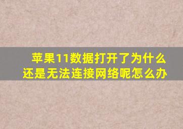 苹果11数据打开了为什么还是无法连接网络呢怎么办