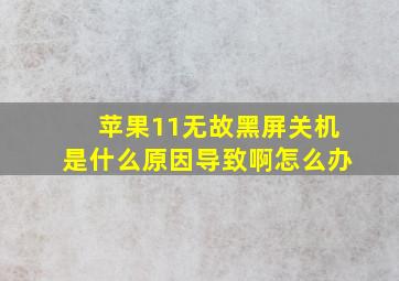 苹果11无故黑屏关机是什么原因导致啊怎么办