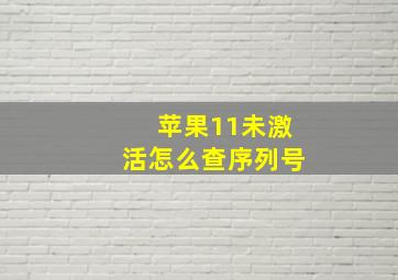 苹果11未激活怎么查序列号