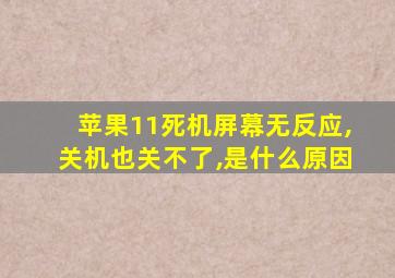 苹果11死机屏幕无反应,关机也关不了,是什么原因