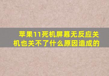 苹果11死机屏幕无反应关机也关不了什么原因造成的