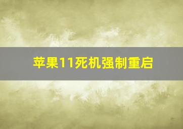 苹果11死机强制重启