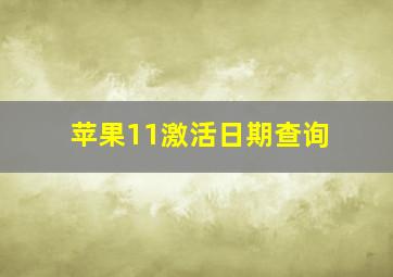 苹果11激活日期查询