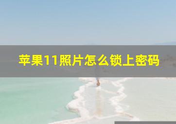 苹果11照片怎么锁上密码