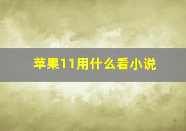 苹果11用什么看小说