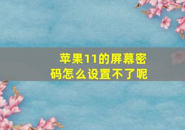 苹果11的屏幕密码怎么设置不了呢