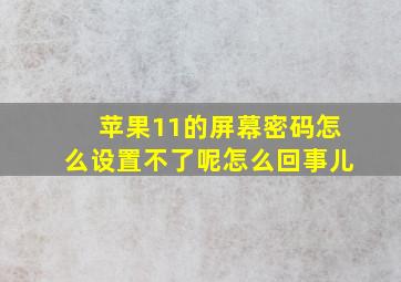 苹果11的屏幕密码怎么设置不了呢怎么回事儿