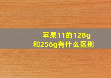 苹果11的128g和256g有什么区别