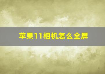 苹果11相机怎么全屏