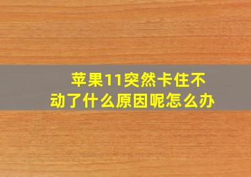 苹果11突然卡住不动了什么原因呢怎么办