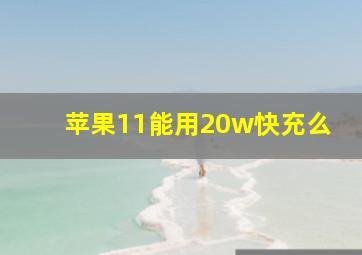 苹果11能用20w快充么