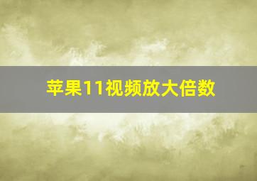 苹果11视频放大倍数