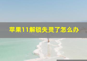 苹果11解锁失灵了怎么办