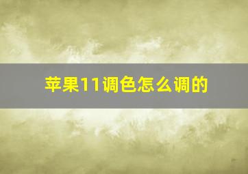 苹果11调色怎么调的