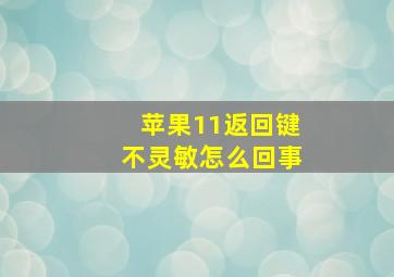 苹果11返回键不灵敏怎么回事