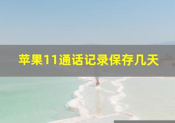 苹果11通话记录保存几天