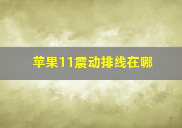 苹果11震动排线在哪