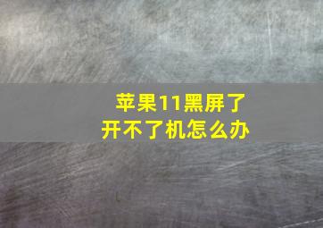 苹果11黑屏了 开不了机怎么办