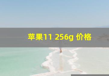 苹果11 256g 价格