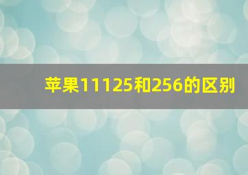 苹果11125和256的区别